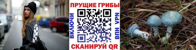 Галлюциногенные грибы мухоморы  Сосновка 